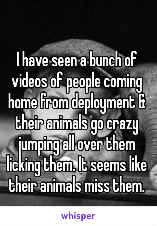 I have seen a bunch of videos of people coming home from deployment & their animals go crazy jumping all over them licking them. It seems like their animals miss them. 