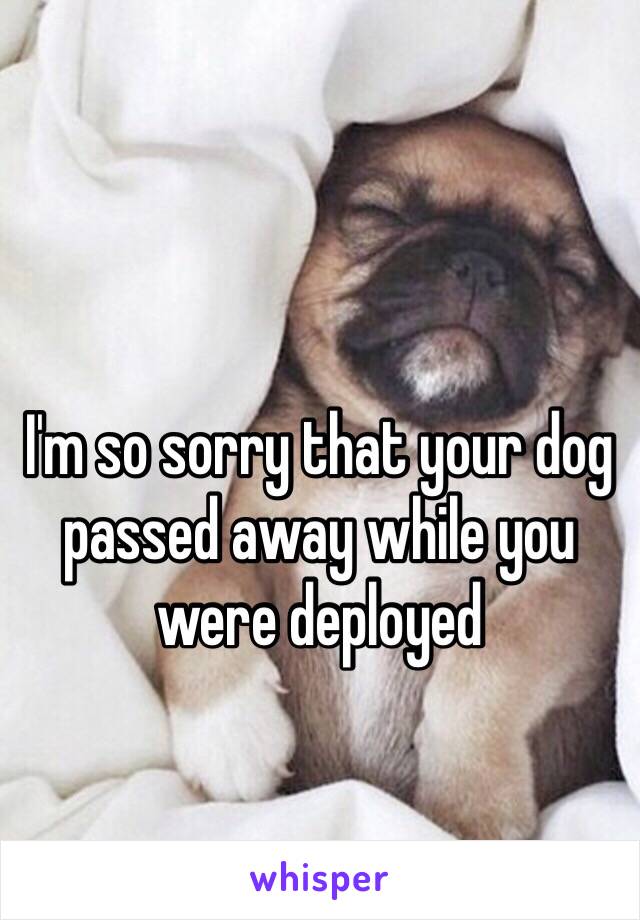 I'm so sorry that your dog passed away while you were deployed