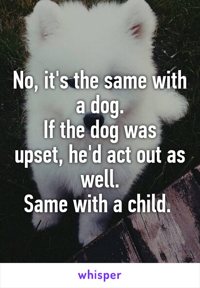 No, it's the same with a dog.
If the dog was upset, he'd act out as well.
Same with a child. 