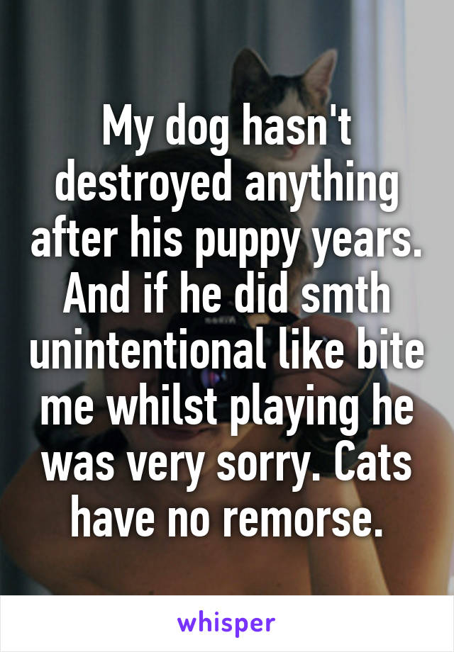 My dog hasn't destroyed anything after his puppy years. And if he did smth unintentional like bite me whilst playing he was very sorry. Cats have no remorse.