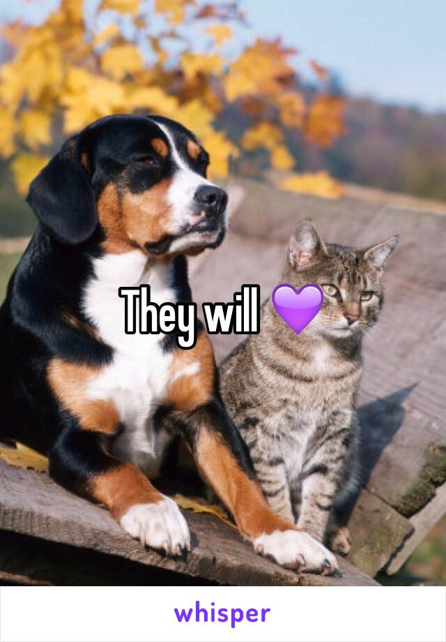 They will 💜
