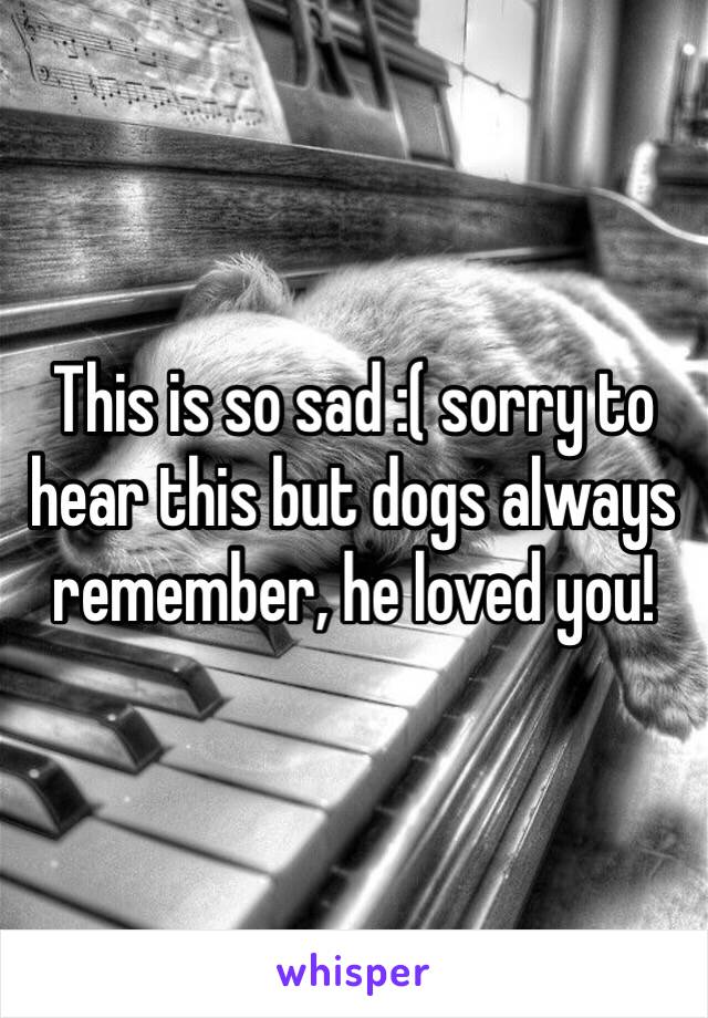 This is so sad :( sorry to hear this but dogs always remember, he loved you!
