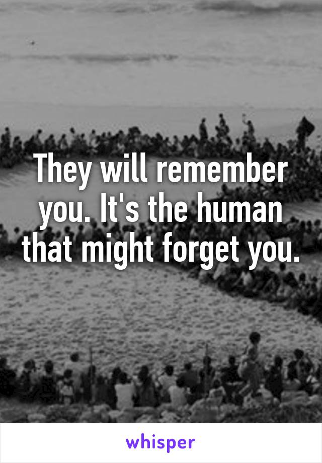 They will remember you. It's the human that might forget you. 