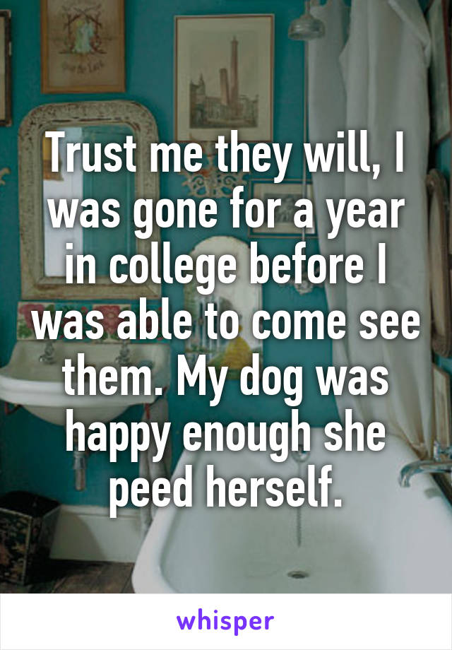 Trust me they will, I was gone for a year in college before I was able to come see them. My dog was happy enough she peed herself.