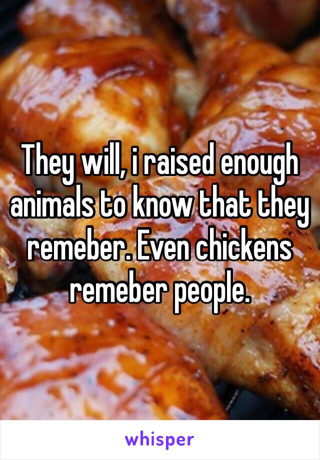 They will, i raised enough animals to know that they remeber. Even chickens remeber people.