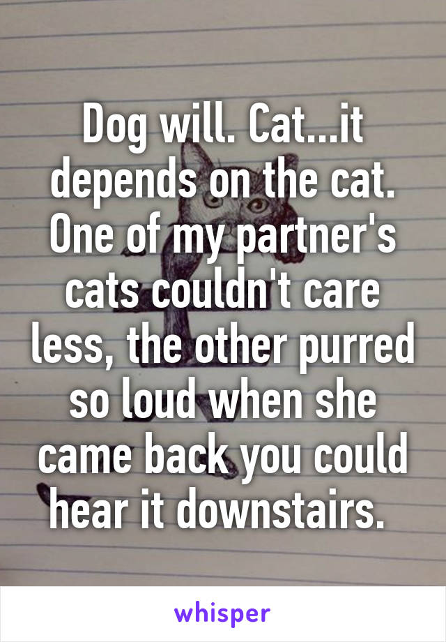 Dog will. Cat...it depends on the cat. One of my partner's cats couldn't care less, the other purred so loud when she came back you could hear it downstairs. 