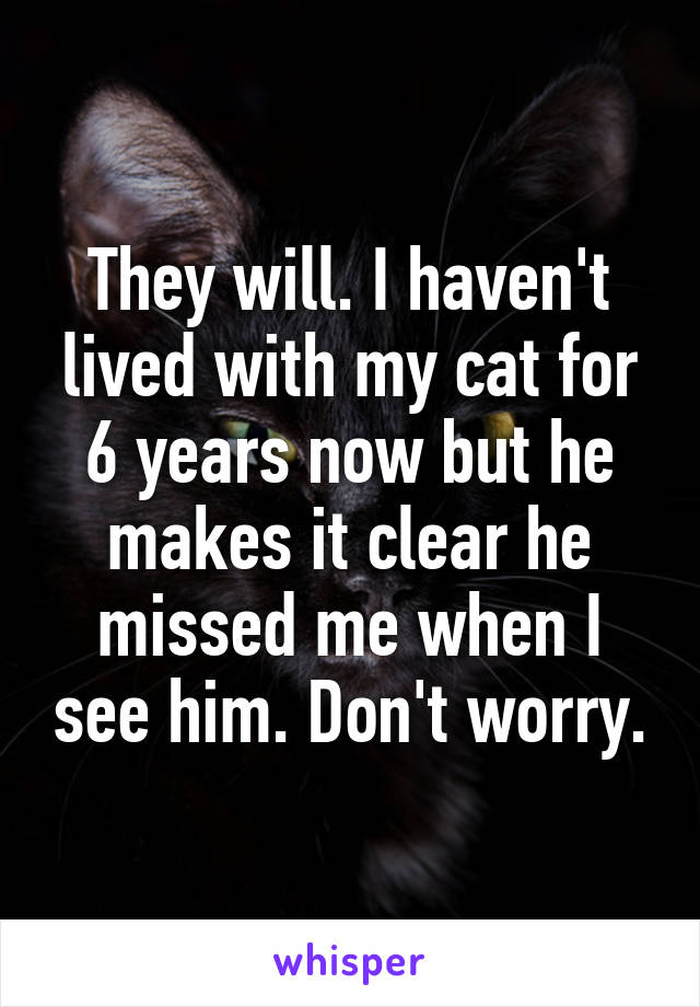 They will. I haven't lived with my cat for 6 years now but he makes it clear he missed me when I see him. Don't worry.