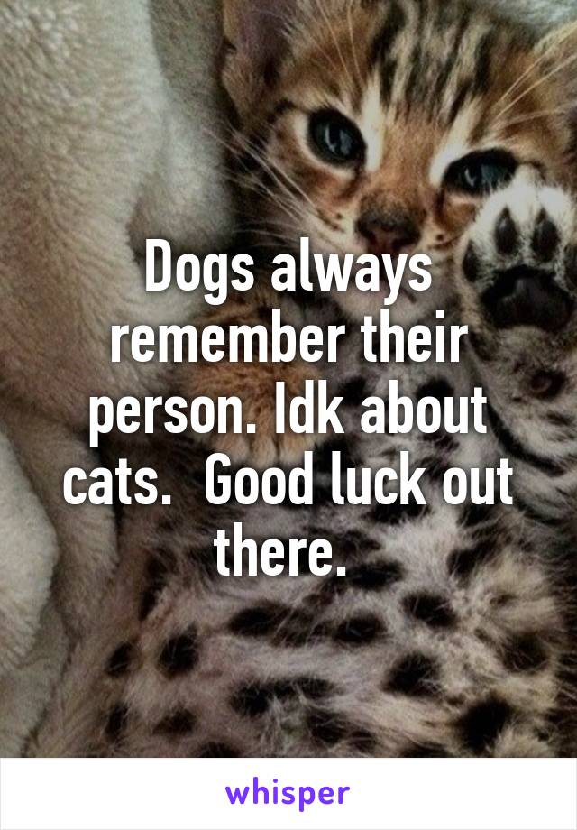 Dogs always remember their person. Idk about cats.  Good luck out there. 