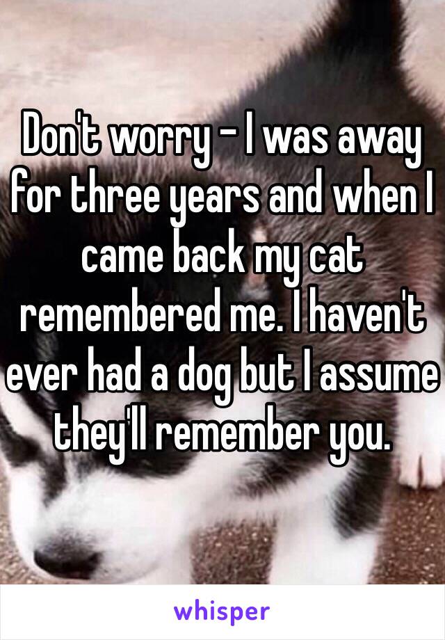 Don't worry - I was away for three years and when I came back my cat remembered me. I haven't ever had a dog but I assume they'll remember you.