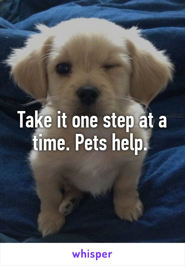 Take it one step at a time. Pets help. 