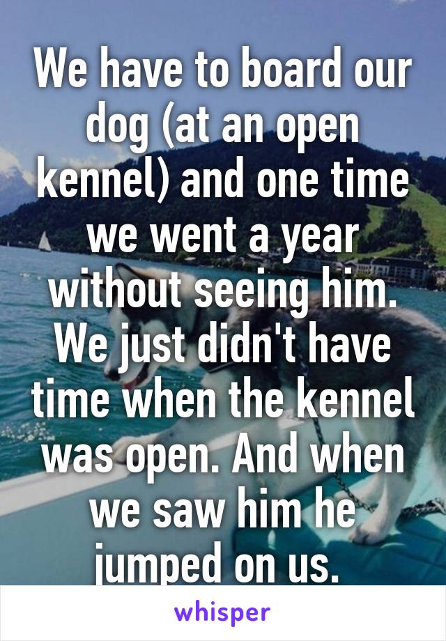 We have to board our dog (at an open kennel) and one time we went a year without seeing him. We just didn't have time when the kennel was open. And when we saw him he jumped on us. 