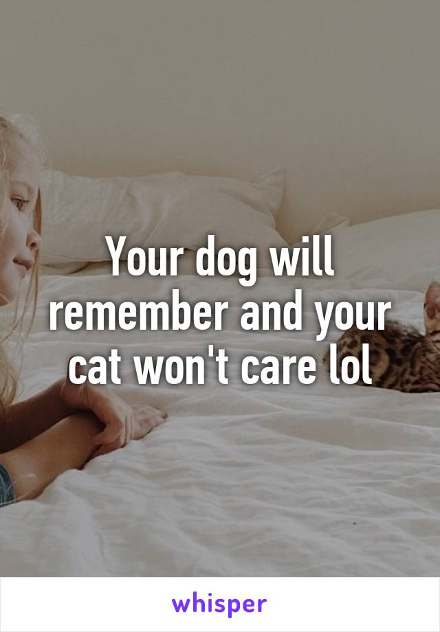 Your dog will remember and your cat won't care lol