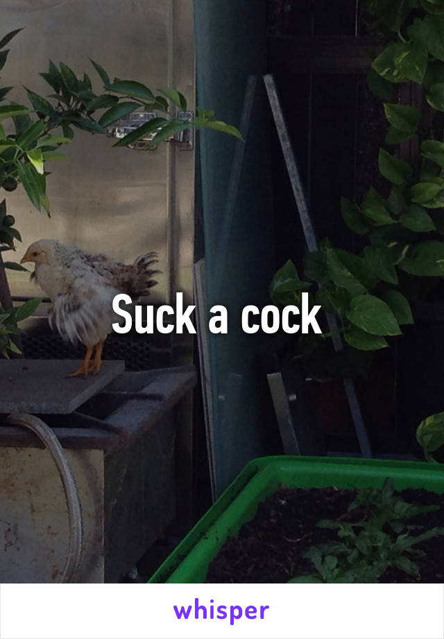 Suck a cock 