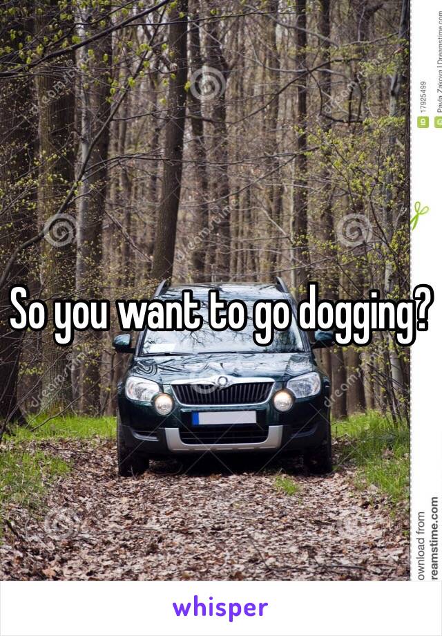So you want to go dogging? 