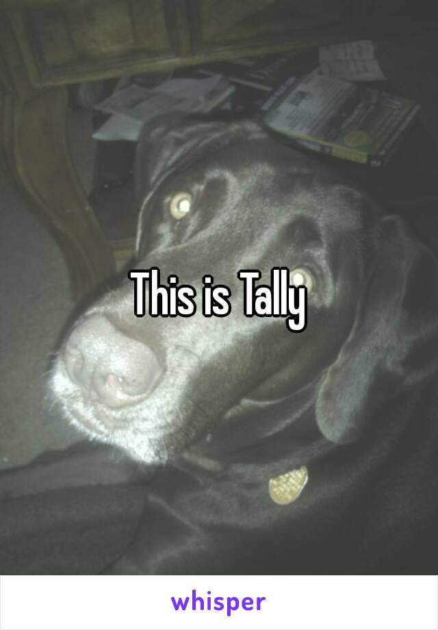 This is Tally