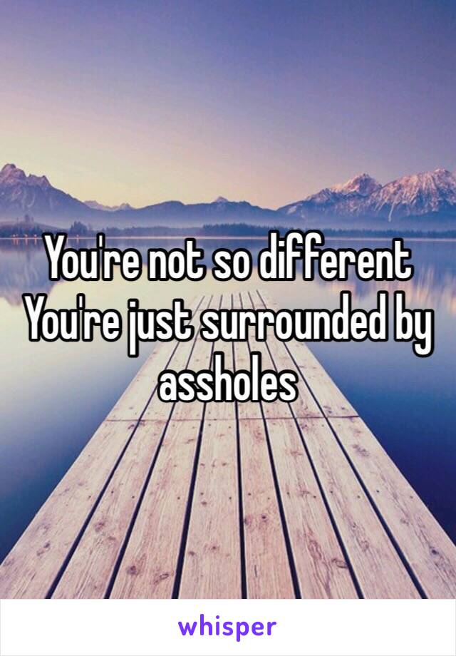 You're not so different 
You're just surrounded by assholes 