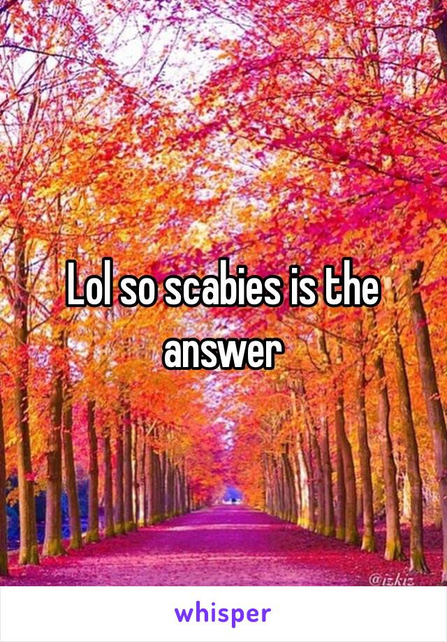 Lol so scabies is the answer 