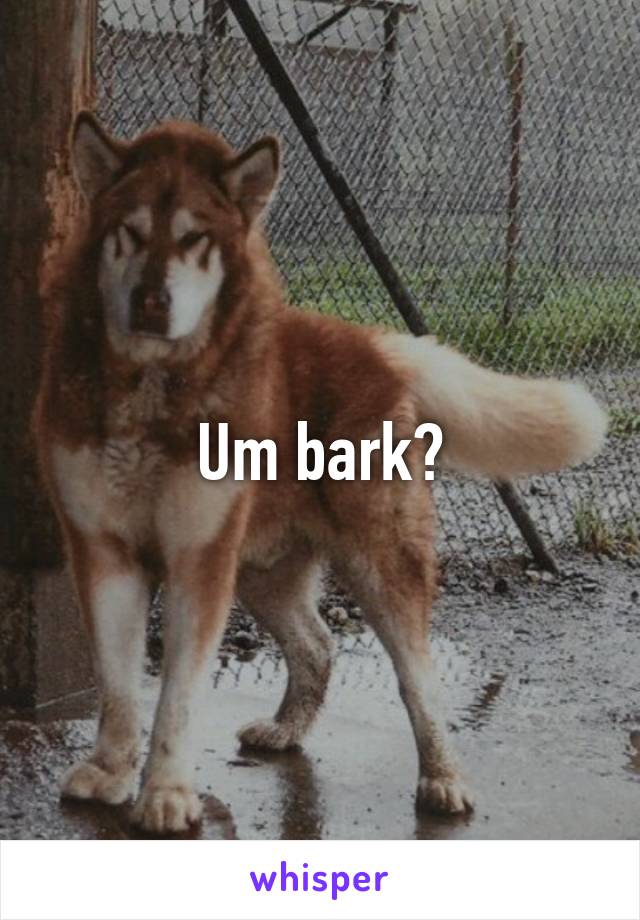 Um bark?
