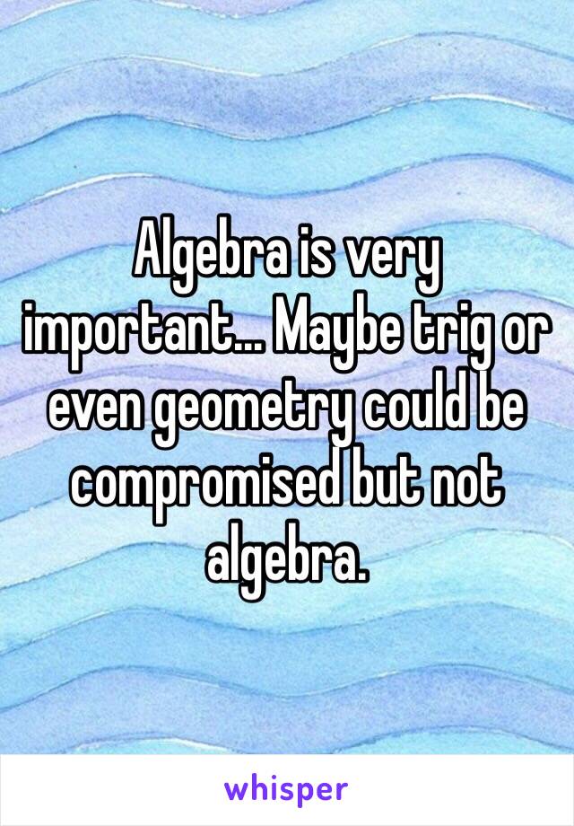 Algebra is very important... Maybe trig or even geometry could be compromised but not algebra.