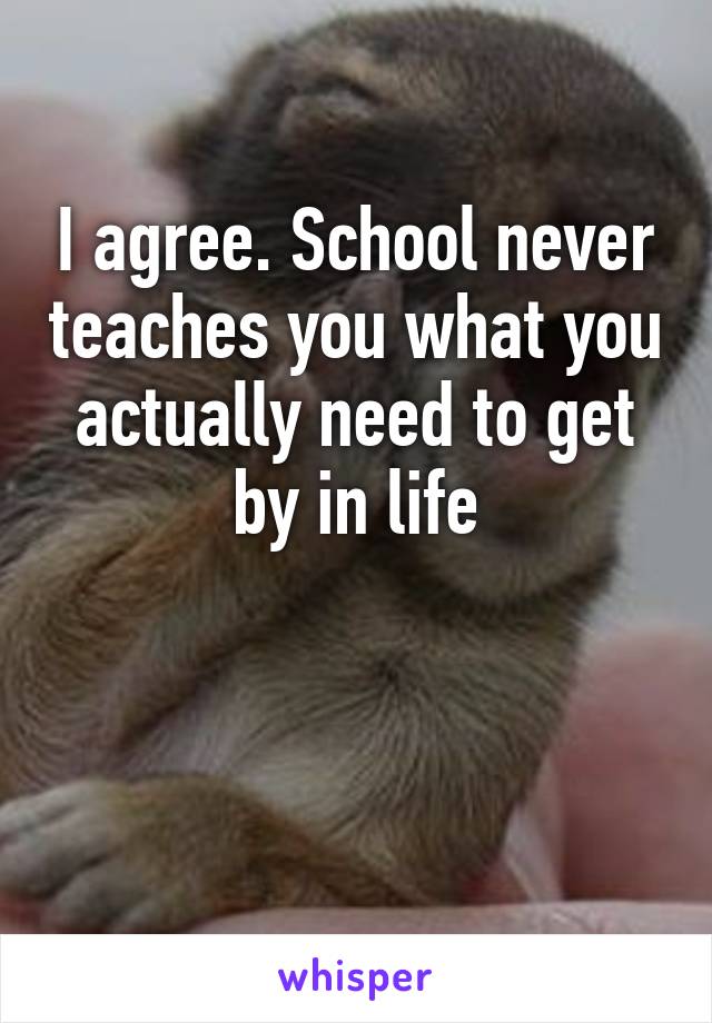 I agree. School never teaches you what you actually need to get by in life


