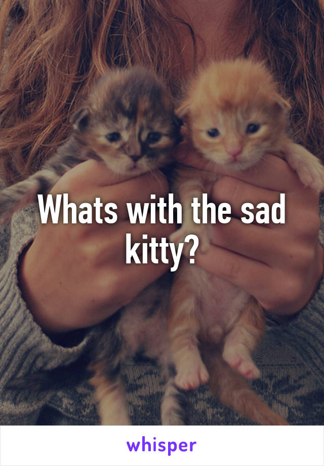 Whats with the sad kitty?