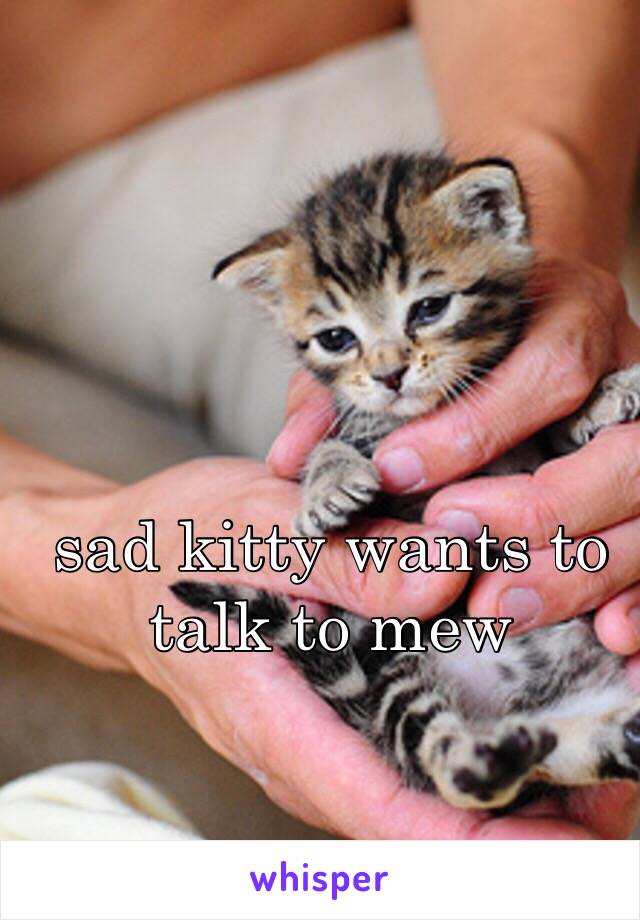 sad kitty wants to talk to mew