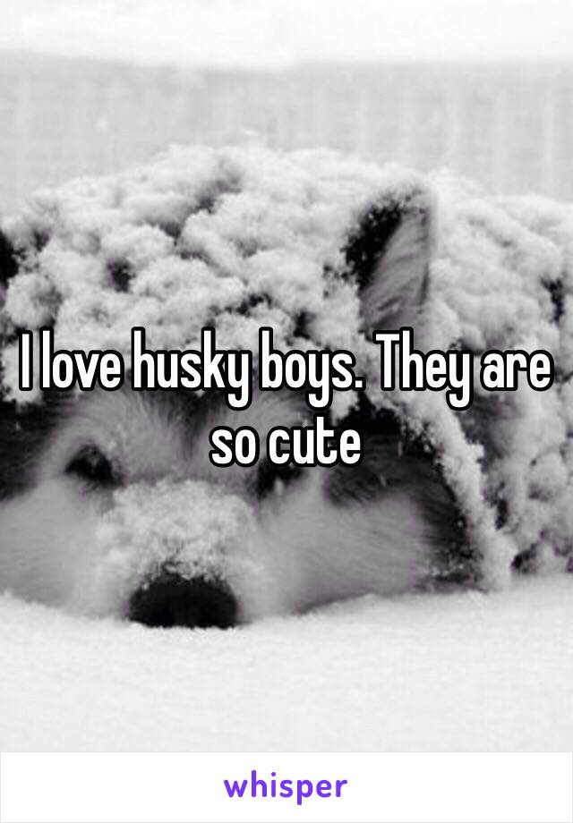 I love husky boys. They are so cute 