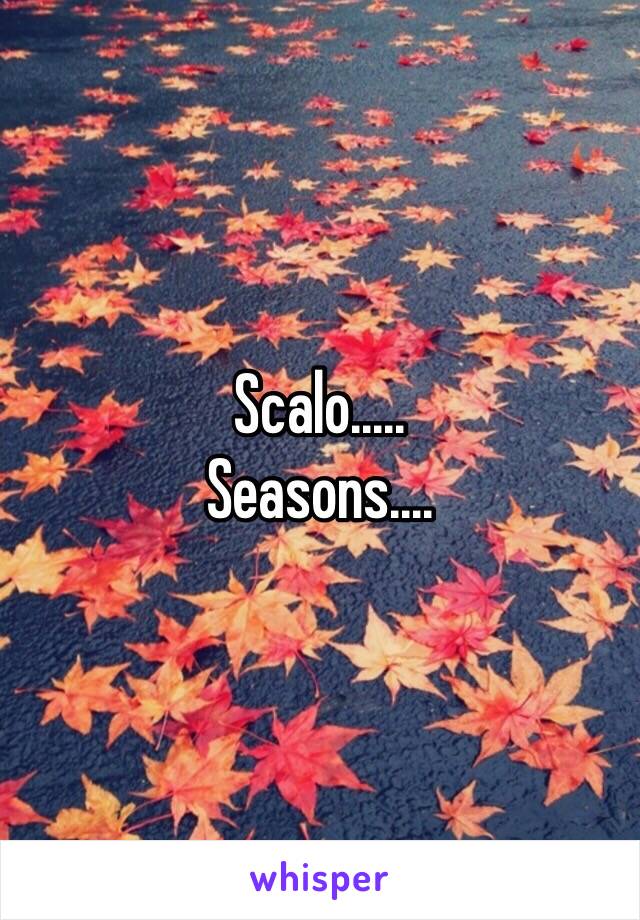 Scalo.....
Seasons....