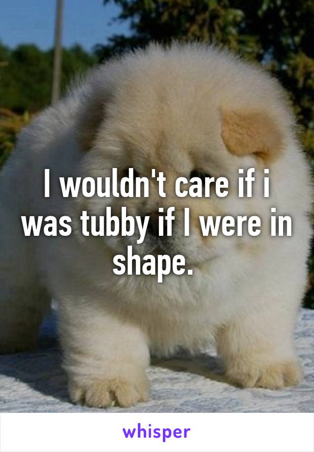 I wouldn't care if i was tubby if I were in shape. 