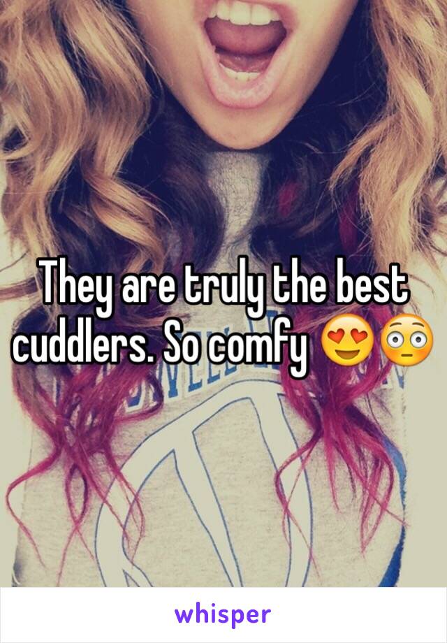 They are truly the best cuddlers. So comfy 😍😳