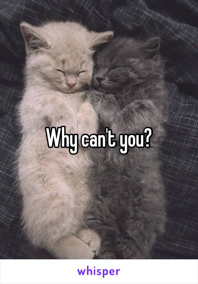 Why can't you?