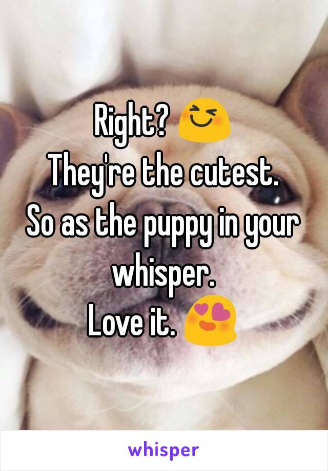 Right? 😆
They're the cutest.
So as the puppy in your whisper. 
Love it. 😍