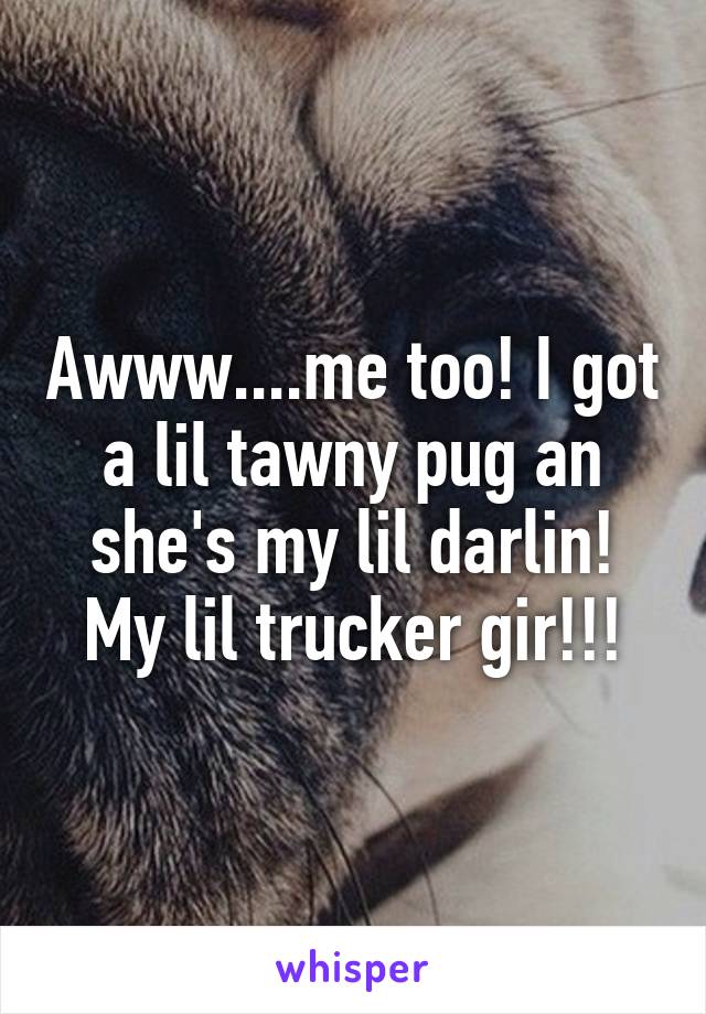 Awww....me too! I got a lil tawny pug an she's my lil darlin! My lil trucker gir!!!