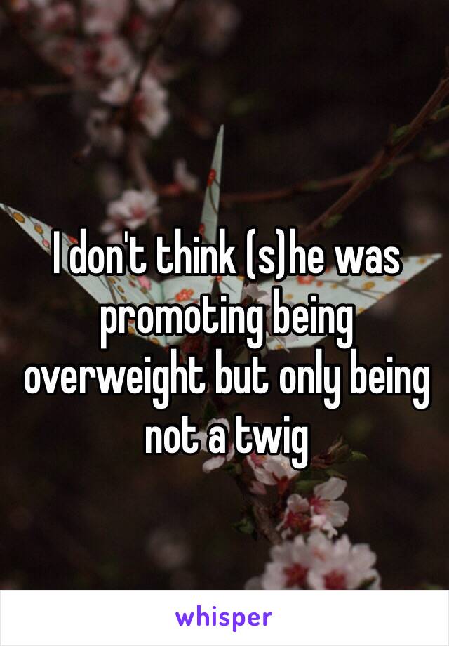 I don't think (s)he was promoting being overweight but only being not a twig