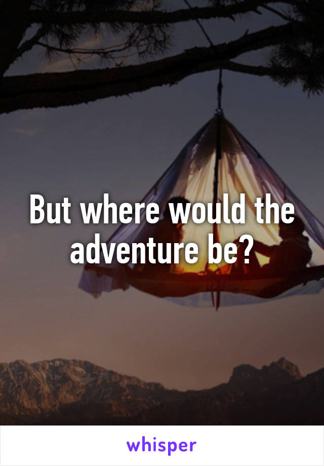 But where would the adventure be?