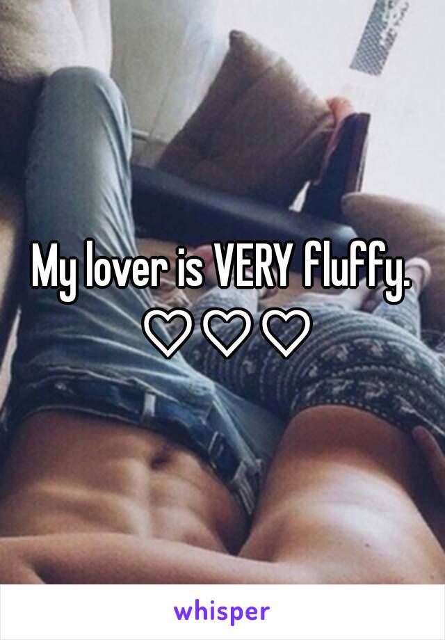 My lover is VERY fluffy. ♡♡♡