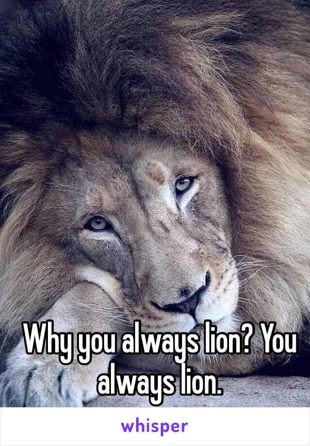 Why you always lion? You always lion. 