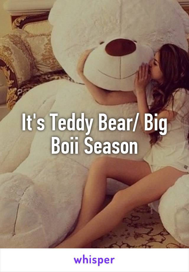 It's Teddy Bear/ Big Boii Season