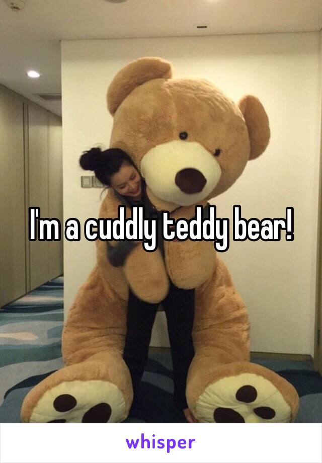 I'm a cuddly teddy bear!