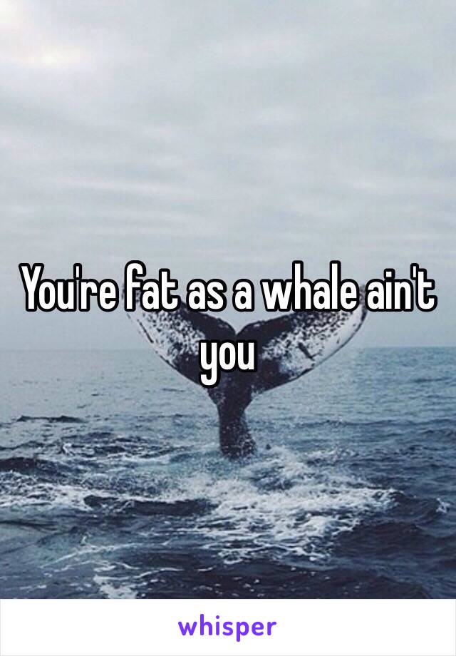 You're fat as a whale ain't you 