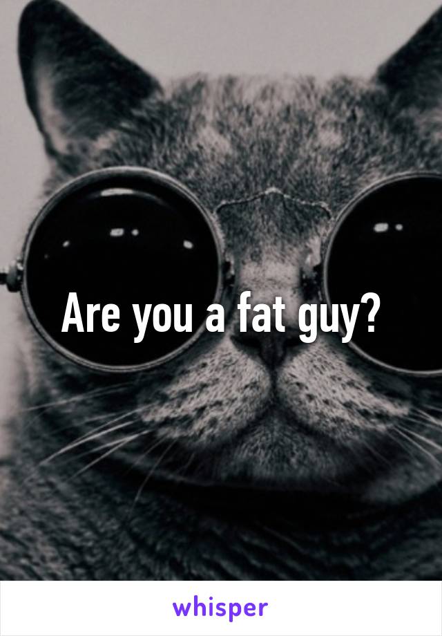 Are you a fat guy?