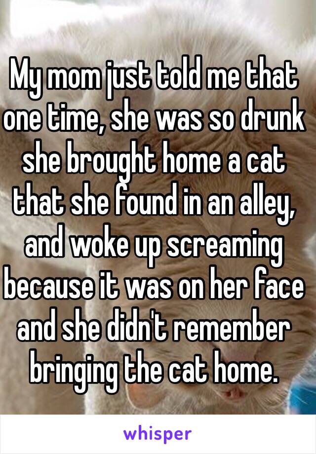 My mom just told me that one time, she was so drunk she brought home a cat that she found in an alley, and woke up screaming because it was on her face and she didn't remember bringing the cat home. 