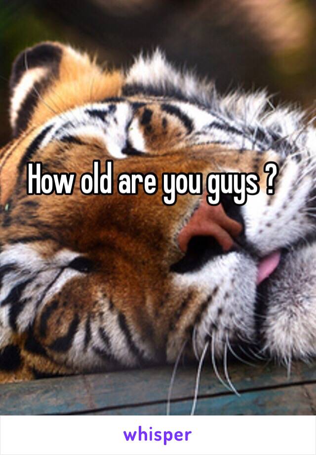 How old are you guys ?