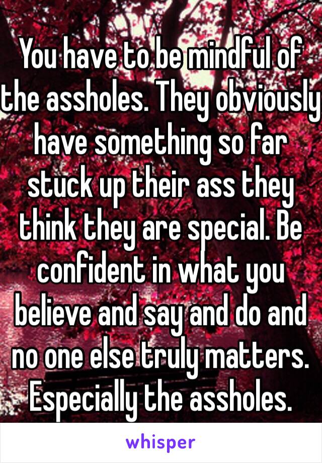 You have to be mindful of the assholes. They obviously have something so far stuck up their ass they think they are special. Be confident in what you believe and say and do and no one else truly matters. Especially the assholes. 