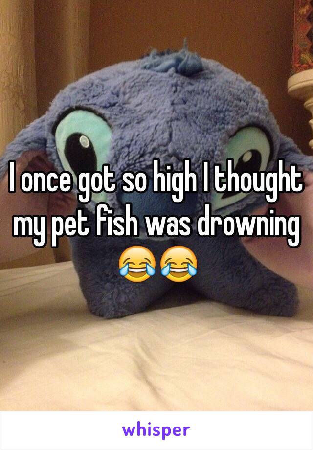I once got so high I thought my pet fish was drowning 😂😂