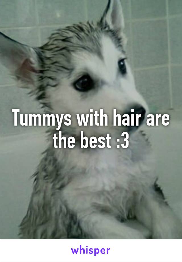 Tummys with hair are the best :3
