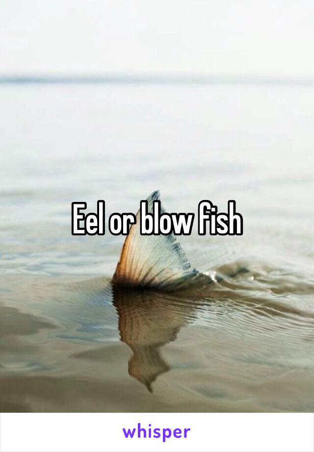 Eel or blow fish 