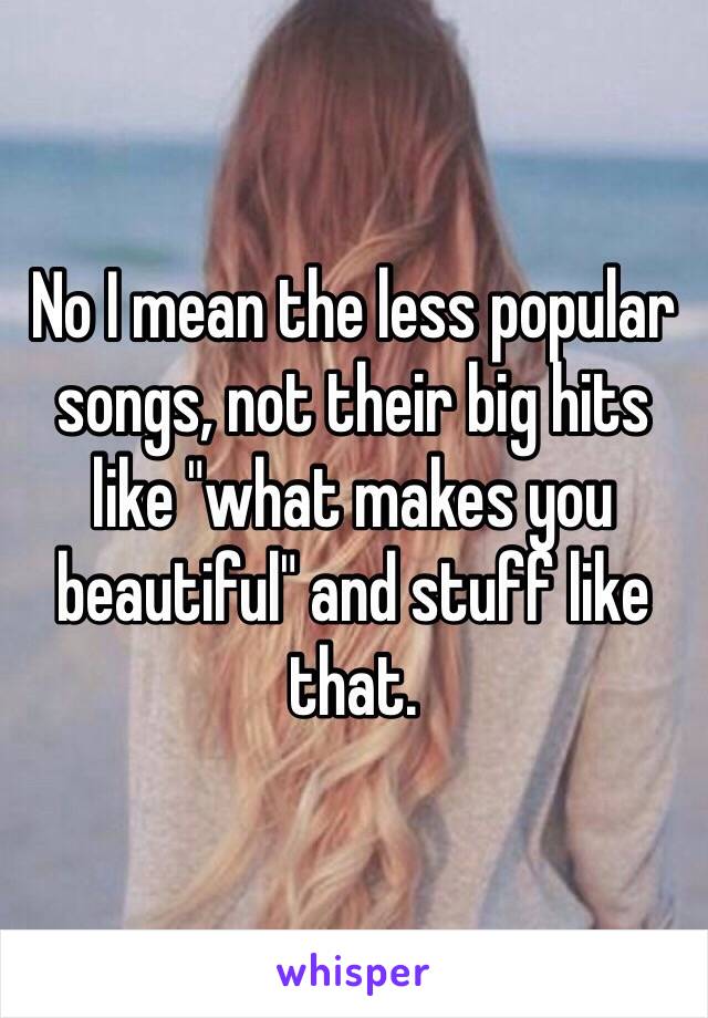 No I mean the less popular songs, not their big hits like "what makes you beautiful" and stuff like that. 