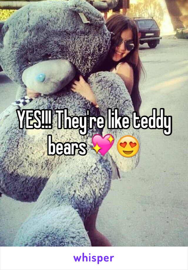 YES!!! They're like teddy bears 💖😍