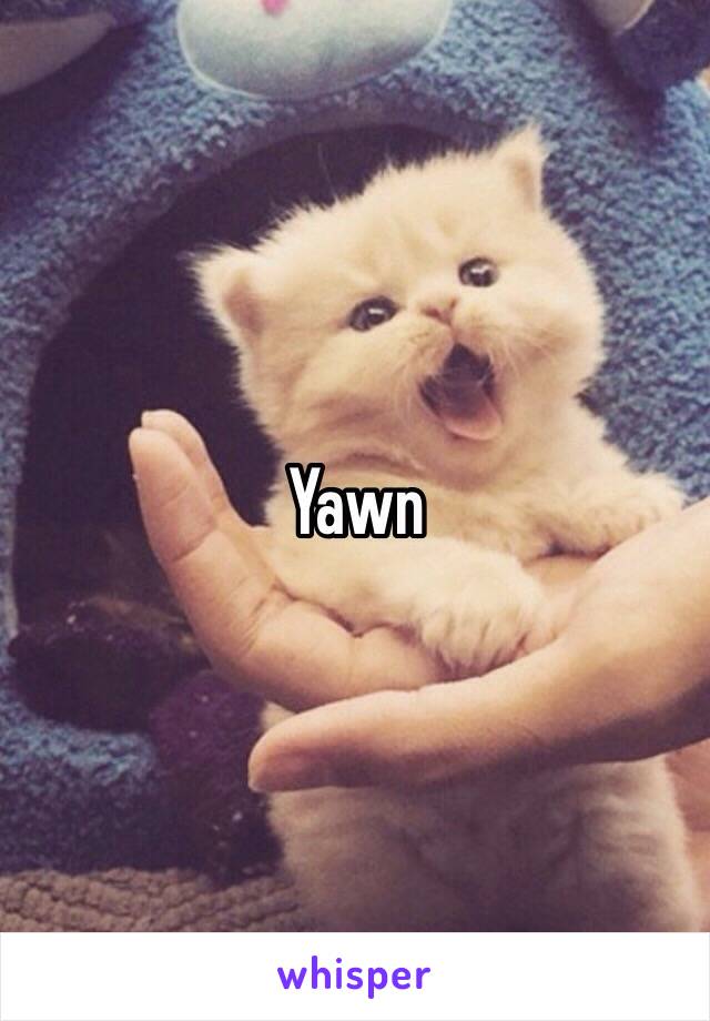 Yawn 